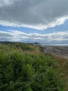 We finished our 150km Wales coast path walk for this year at Pwllheli on the Llŷn peninsula. 

We’re staying just round the corner from @keithbrymerjones’ Capel Salem