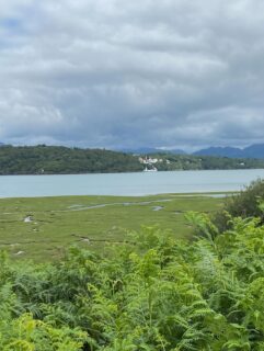 Lovely walk from Harlech to Porthmadog with a glimpse of Portmeirion from across the estuary