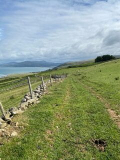 Up over the hills today to Barmouth. There were a lot of dry stone walls and ruined stone farm buildings with the mountains of Snowdonia/Eryri in the distance