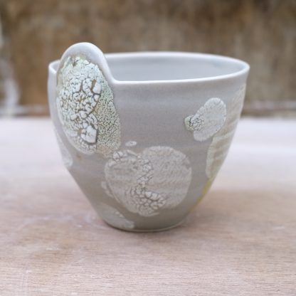 grey medium lichen bowl