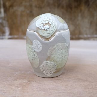 lichen lidded jar