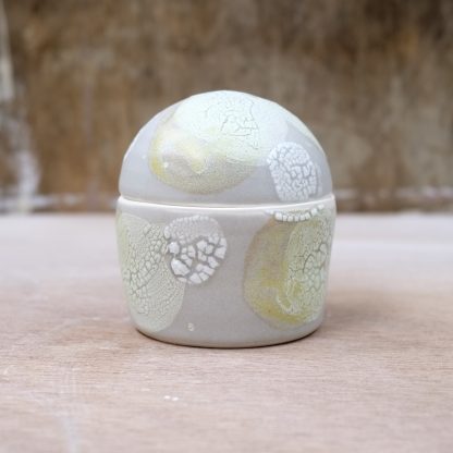lichen lidded porcelain box